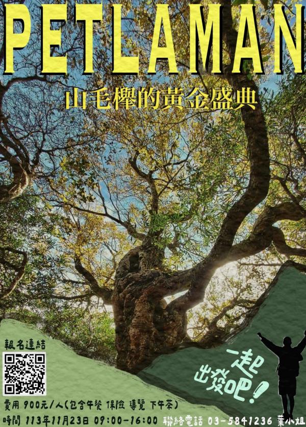 北得拉曼 | 山毛櫸的黃金盛宴